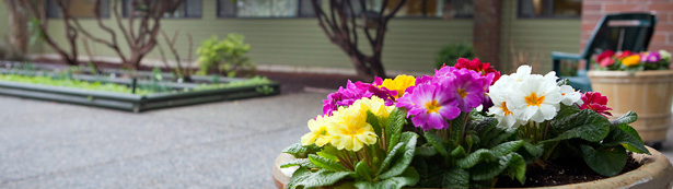 finnish-home-volunteering